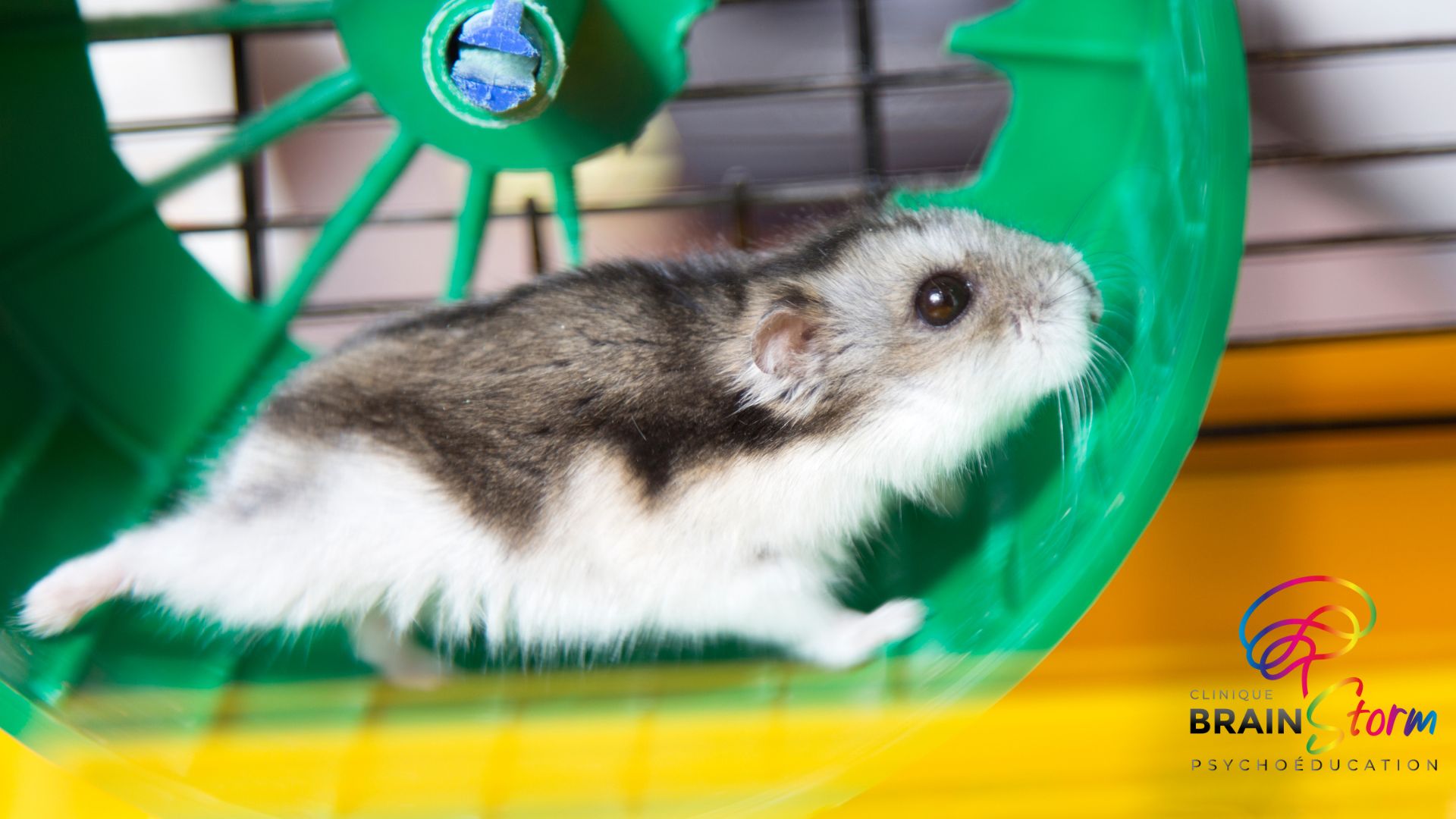 La pensée en arborescence comme un hamster marathonien
