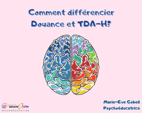 Douance vs TDA-H