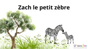 Zach le petit zèbre