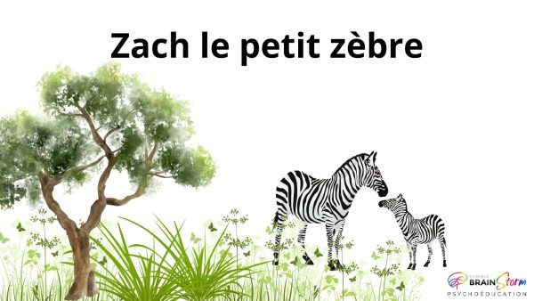 Zach le petit zèbre